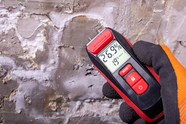 Best Home Mold Removal  in Boyne City, MI